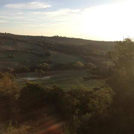 Le Tartarughe Rooms Magliano in Toscana Exterior photo