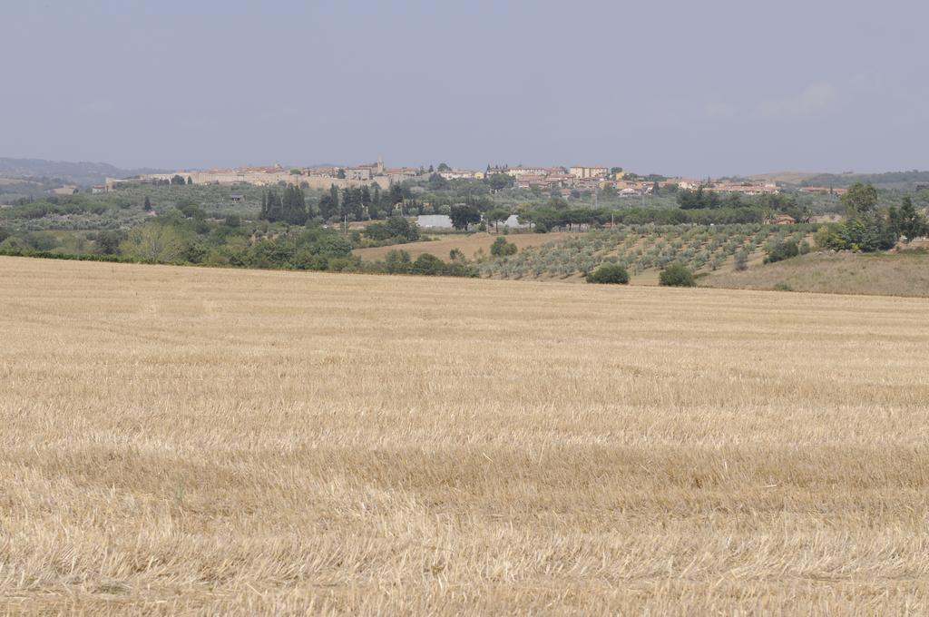 Le Tartarughe Rooms Magliano in Toscana Exterior photo