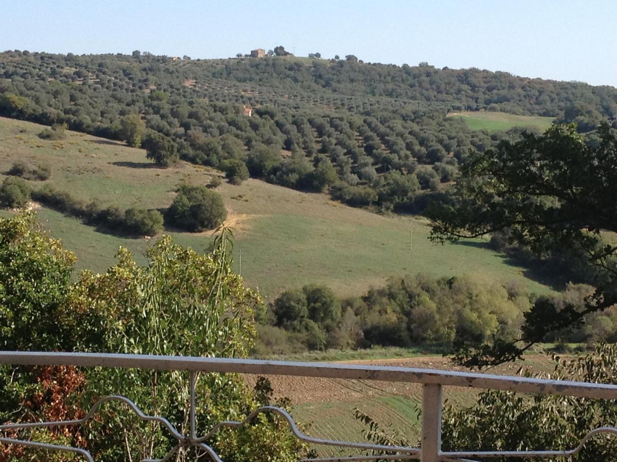Le Tartarughe Rooms Magliano in Toscana Exterior photo