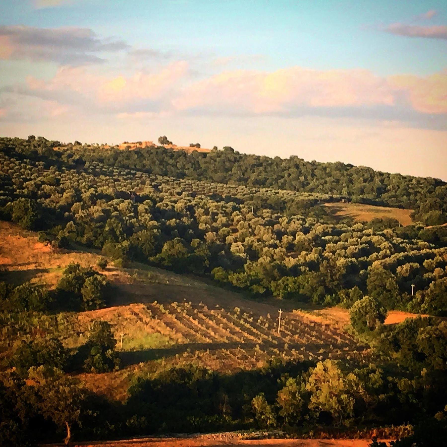 Le Tartarughe Rooms Magliano in Toscana Exterior photo