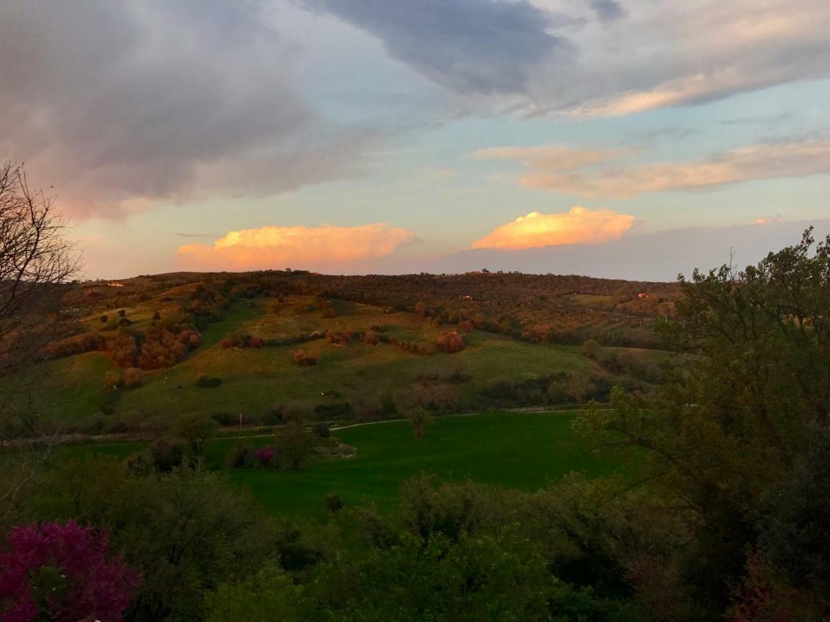 Le Tartarughe Rooms Magliano in Toscana Exterior photo